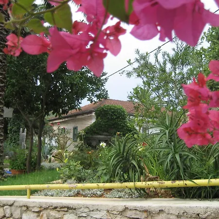 Apartments Veli Losinj Exterior photo