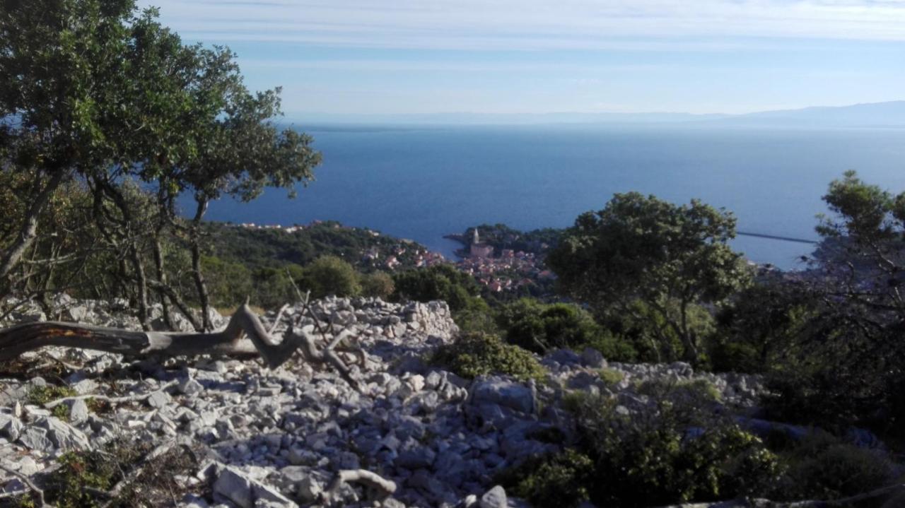 Apartments Veli Losinj *