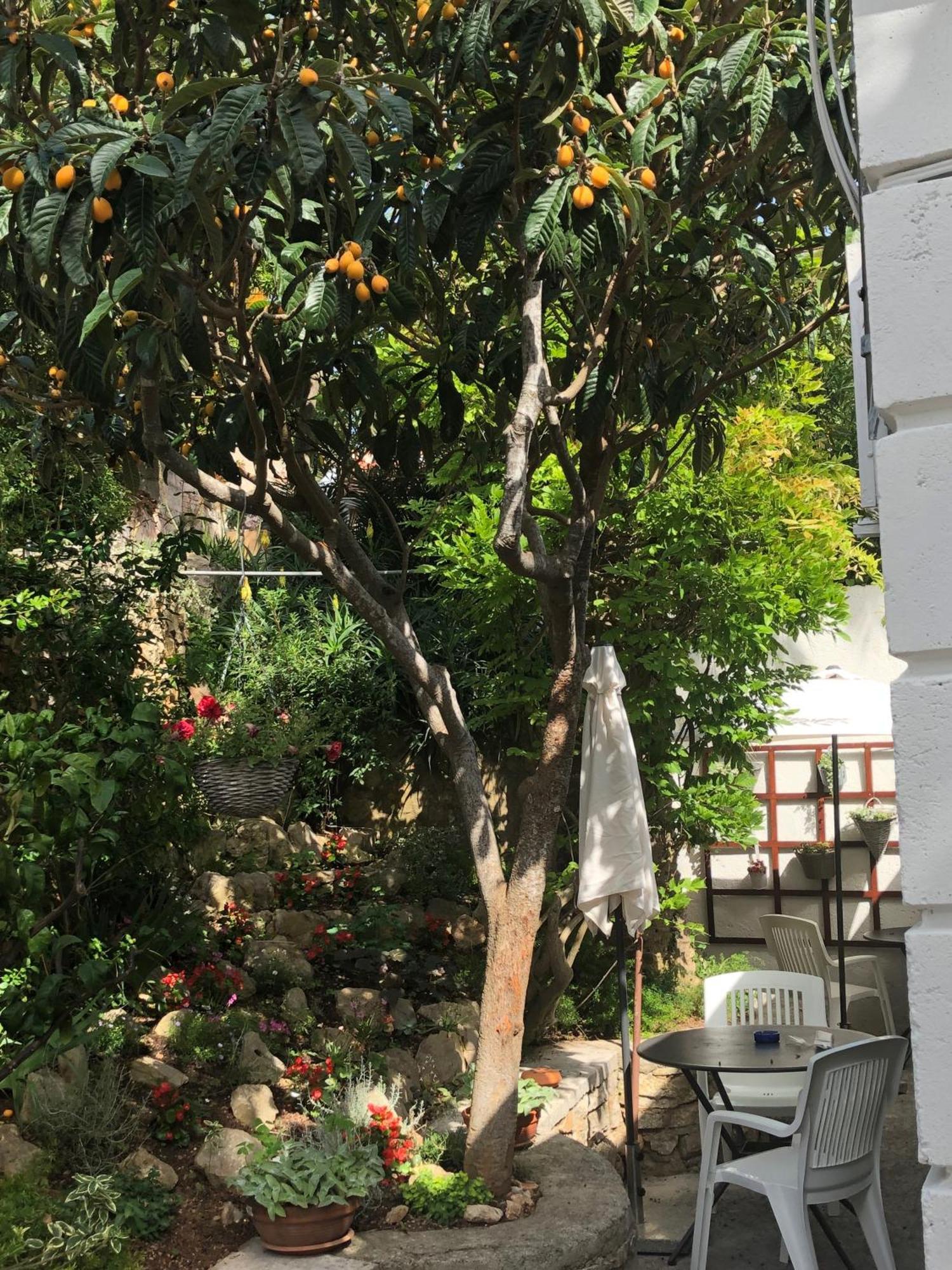 Apartament Apartments Veli Losinj Veli Lošinj