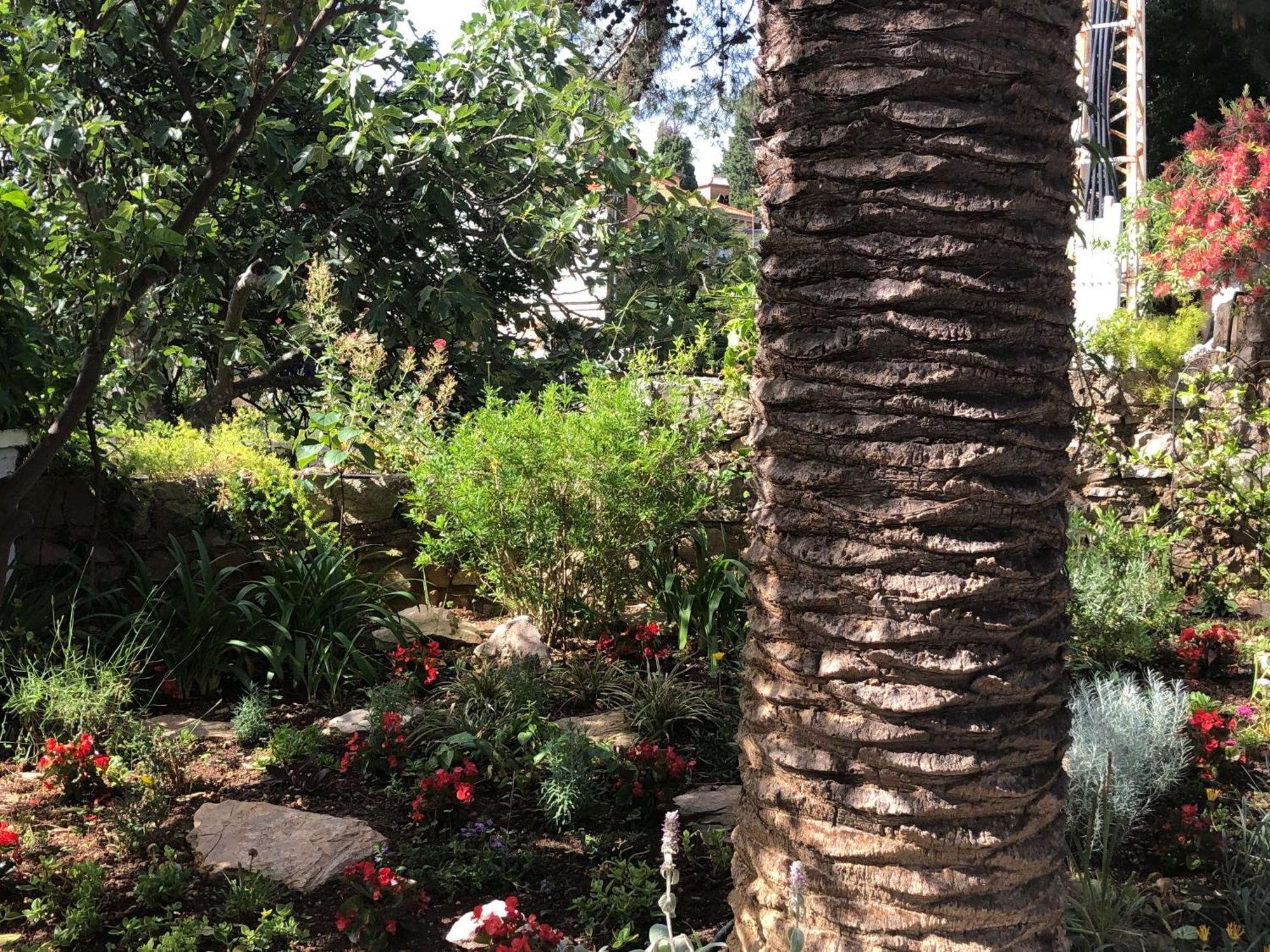 Apartments Veli Losinj Veli Lošinj