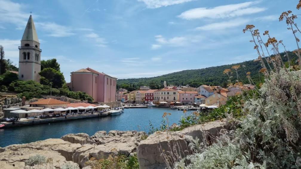 Apartments Veli Losinj
