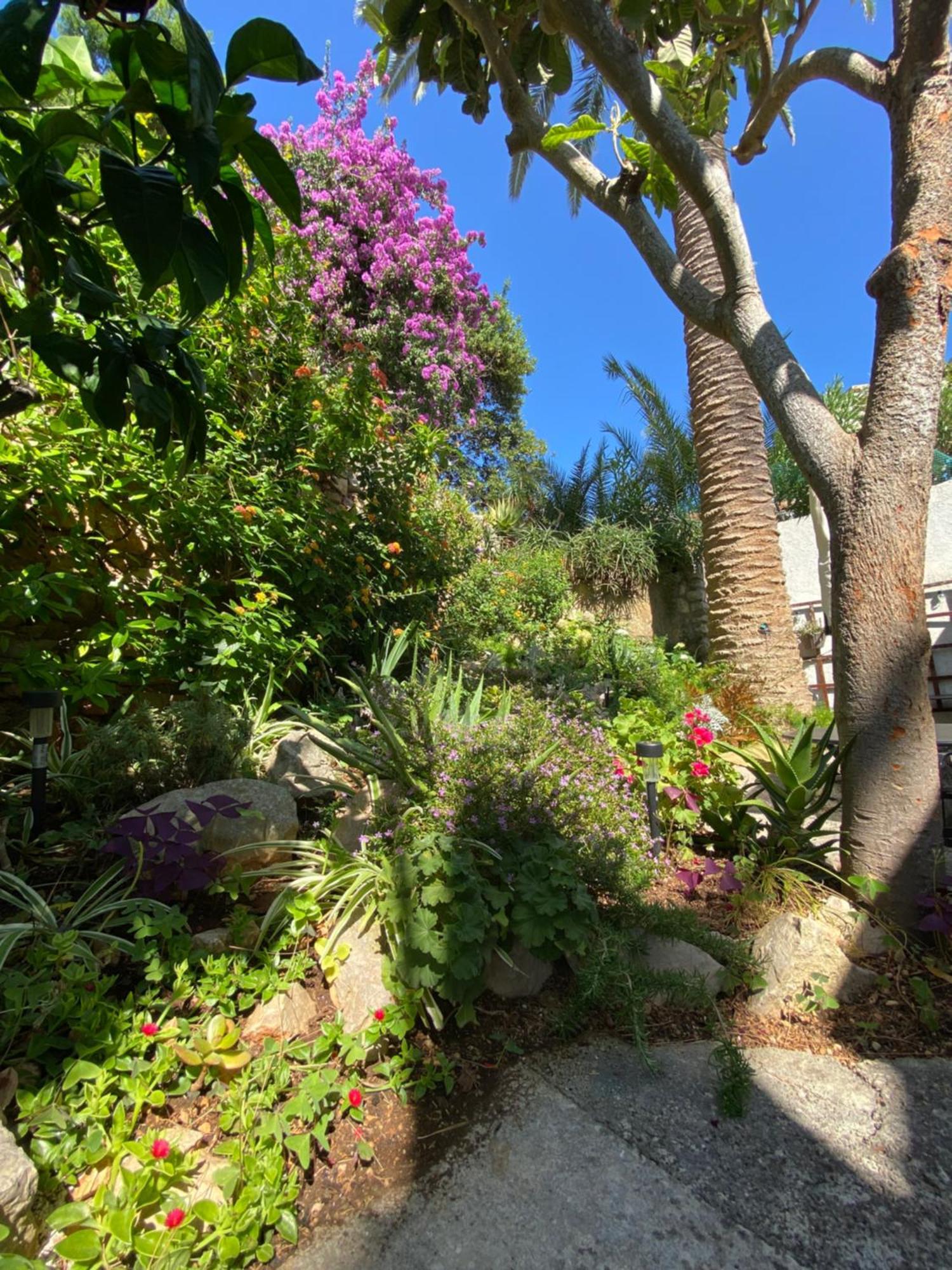 Apartments Veli Losinj *